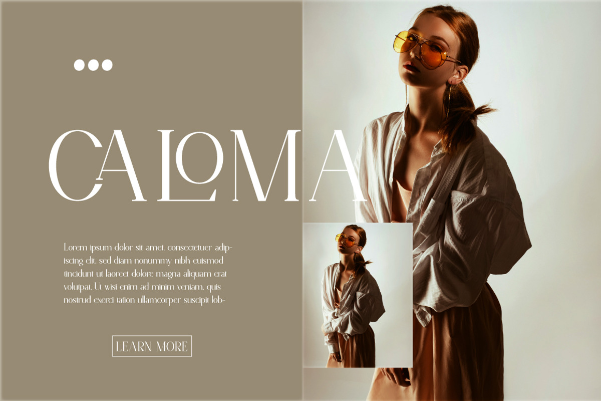 Norsel - Elegant Serif, a Serif Font by Cut Story (Photo 5 of 14)
