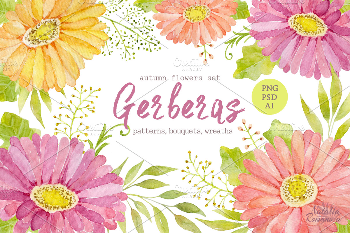 Watercolor set of gerbera flowers, a Decorative Illustration by BrushArtDesigns (Photo 1 of 9)
