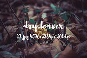 Dry leaves, a Templates & Theme by ApertureVintage (Thumbnail 13 of 16)