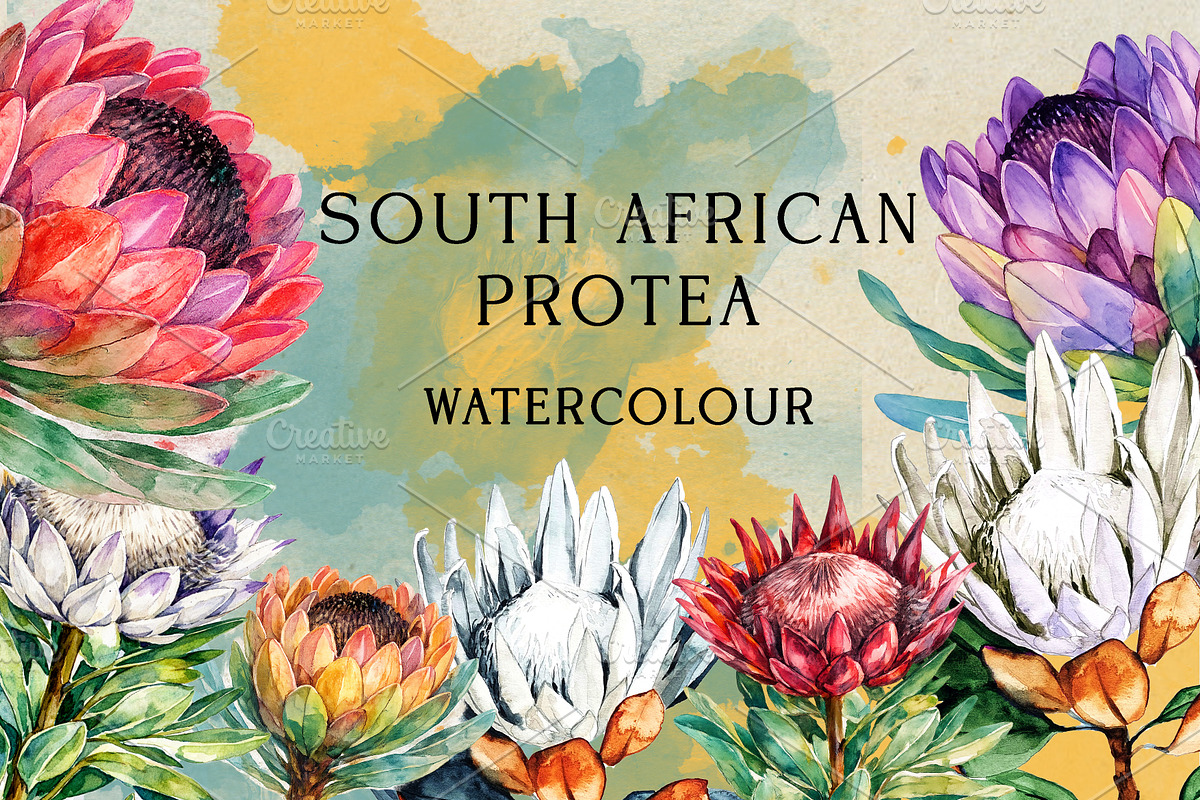 South African Flowers, a Decorative Illustration by Karliefie (Photo 1 of 5)
