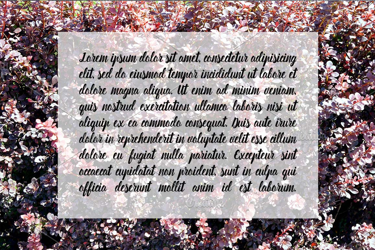 Aliena Font preview 4
