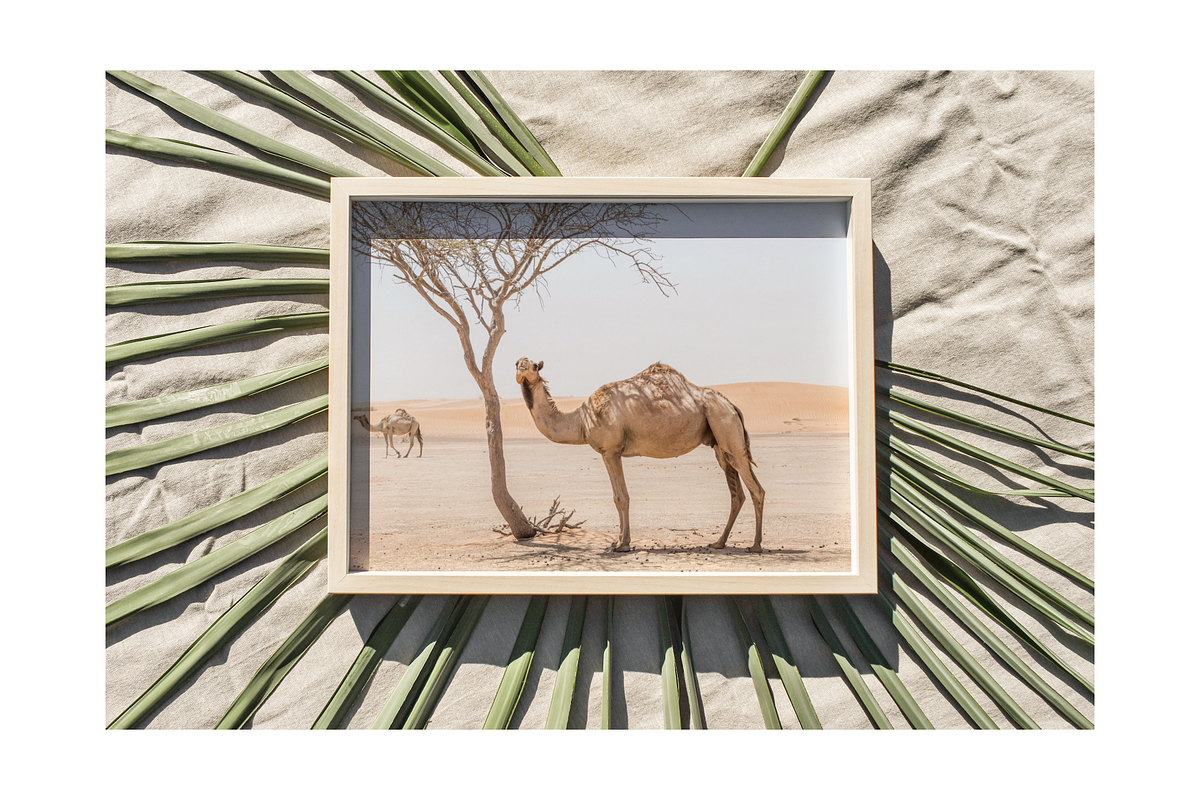 Frame Mockup Bundle - Palme, a Household Mockup by Saguaro Digital (Photo 16 of 16)