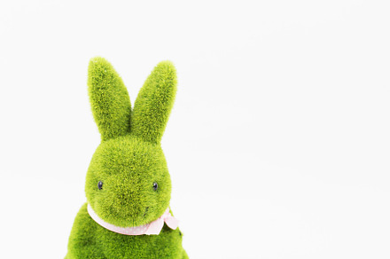 Stock Photo - Easter / Spring Theme, a Background Photo by Savvy Stock Shop