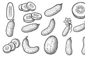 Cucumber Sketch Set, an Object Graphic by nikagraphic