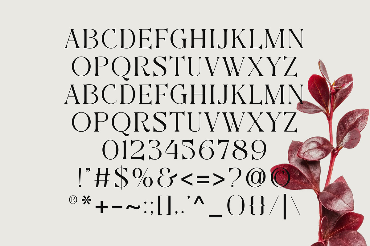 Awesome Starthen Modern And Beauty, a Serif Font by Muflieart (Photo 8 of 8)
