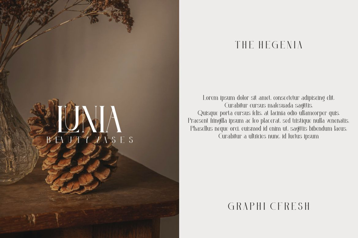 Hegelia, a Serif Font by Kenrichi (Photo 6 of 10)