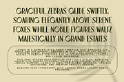 Leonis - Luxury Font, a Serif Font by Snape Design Studio (Thumbnail 2 of 12)