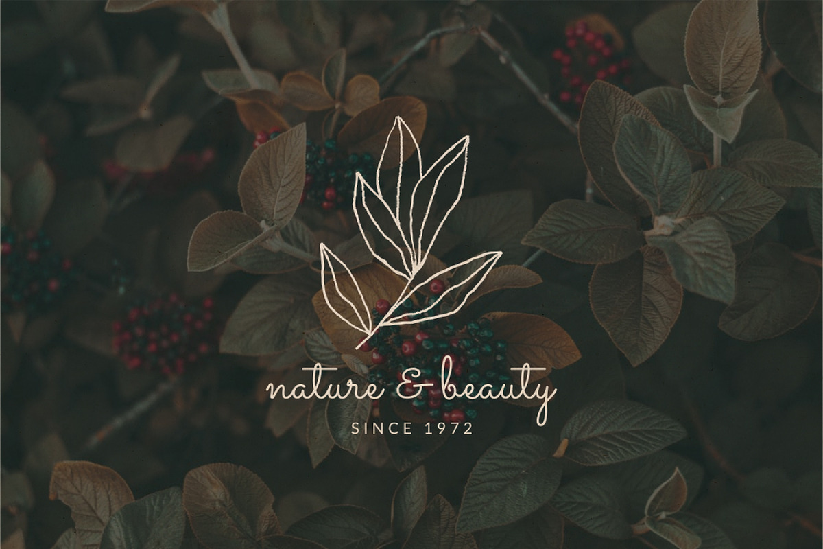 Natura | Modern Graphics Set, a Background Graphic by Studio Fevrier (Photo 8 of 11)