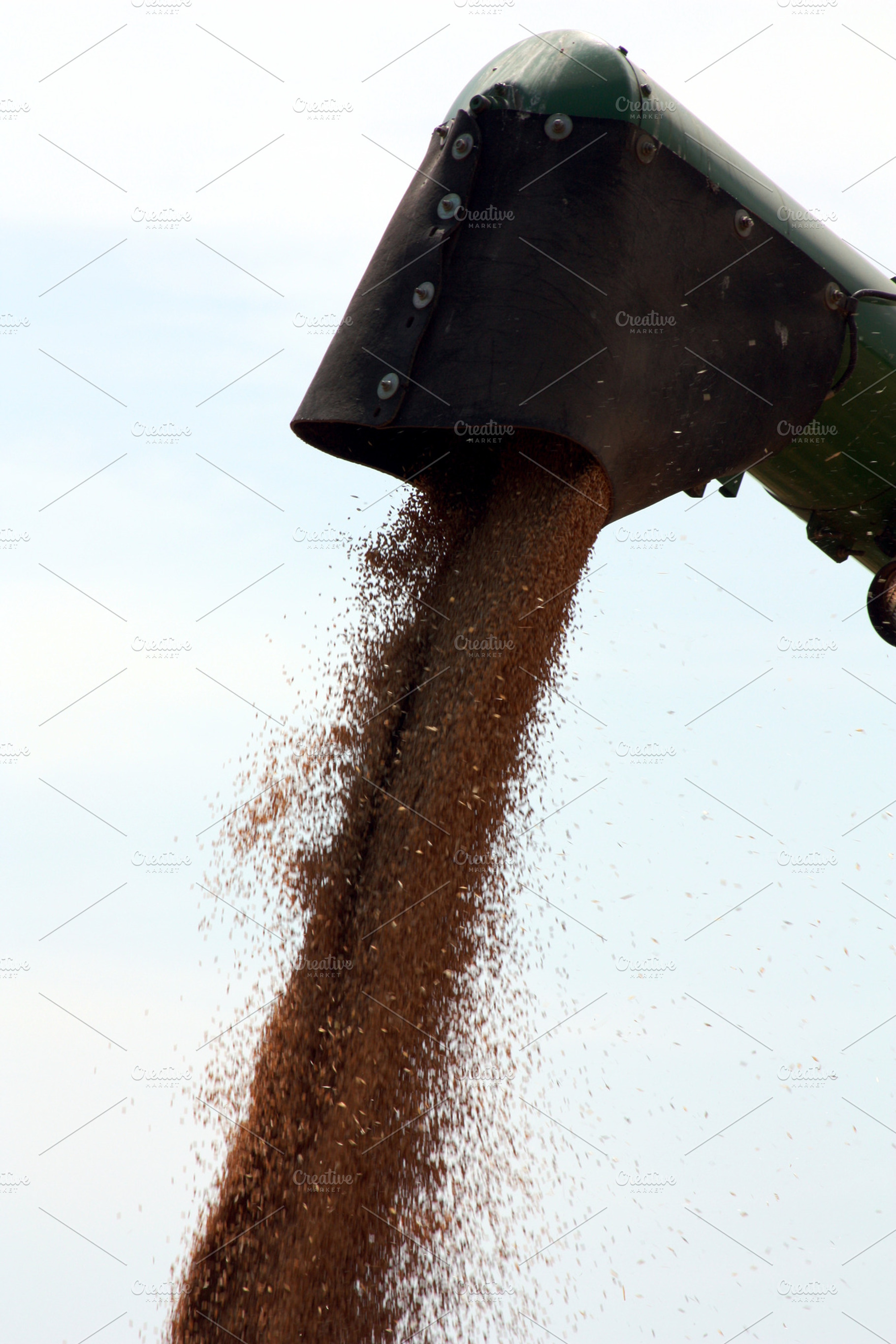 Grain In Combine