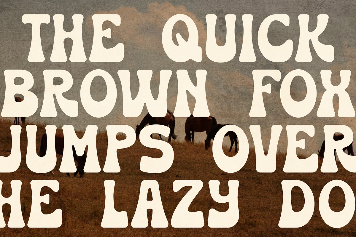 Huston Western Display Font, a Sans Serif Font by Storytype Studio (Photo 6 of 15)