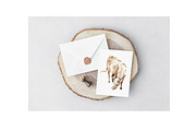 Animal Farm Watercolor Clipart, an Animal Illustration by NKTKNS (Thumbnail 6 of 6)