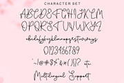Honey Christmas - Font Duo, a Script Font by Letterafa Studio (Thumbnail 8 of 9)