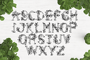 Leaphabet, a Serif Font by Kris Davie (Thumbnail 3 of 10)