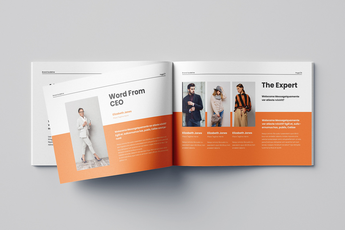 Brand Guideline preview 3