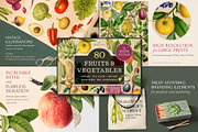 Vintage Bundle – 60% Off! – 21 Packs, an Object Graphic by The Object Atlas (Thumbnail 9 of 26)