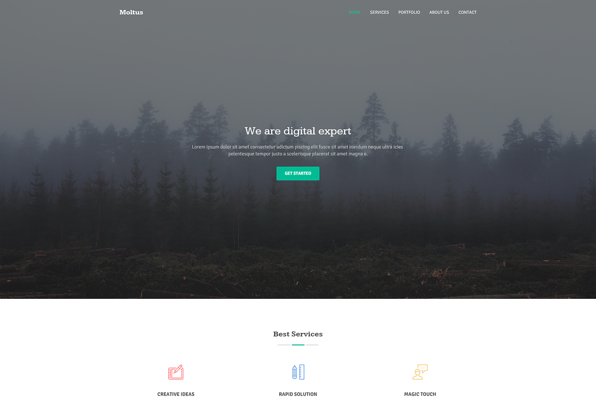 Moltus - Onepage & Coming Pages, a HTML Template by Pichforest Studio (Photo 2 of 3)