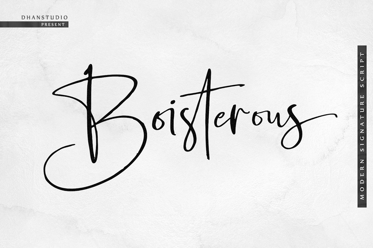 Boisterous Signature, a Script Font by Dhan Studio (Photo 24 of 24)