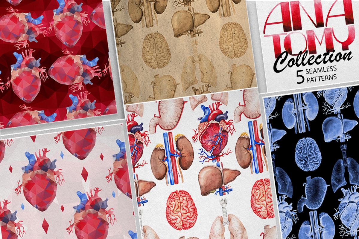 Collection of watercolor organs, a Decorative Illustration by Ekaterina Glazkova (Photo 8 of 8)
