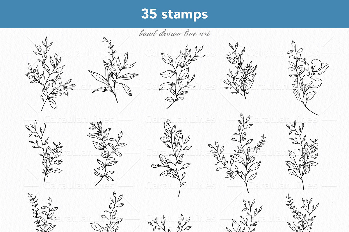 Greenery Procreate Stamps, a Brush Add-On by CaraulanStore (Photo 2 of 8)