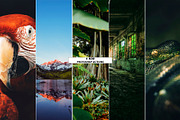 Photoshop Actions Bundle, an Action Add-On by Viktor Gjokaj (Thumbnail 3 of 5)