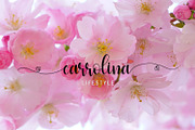 Simple Script, a Script Font by Zulkhairi Lettering (Thumbnail 4 of 5)