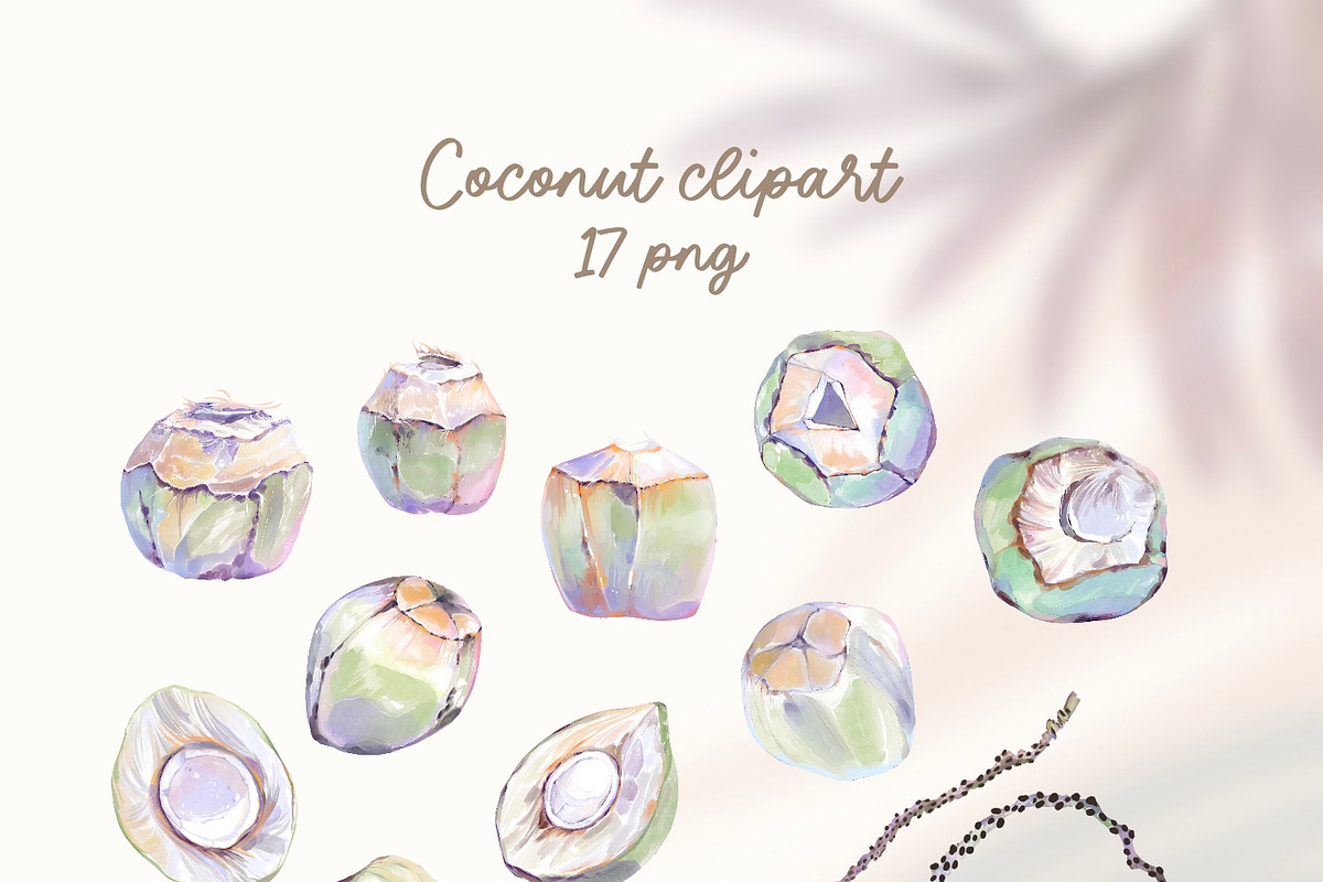 Coconut Beach Shop watercolor, a Food Illustration by Shabbypie (Photo 5 of 9)