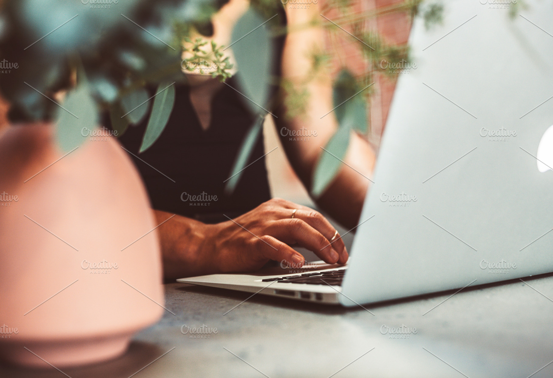 Eucalyptus + Productive Tuesdays | 1, a Person Photo by AlyssaKayeGraham