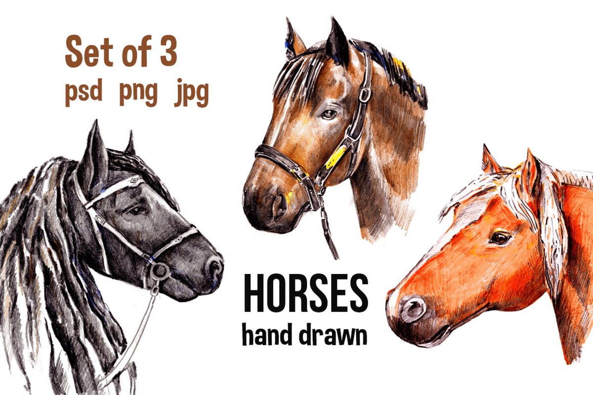 Set of Horses. Hand drawn, an Animal Illustration by lidiya_zayac (Photo 1 of 3)