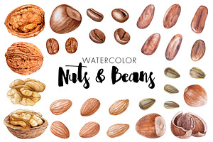 Watercolor Nuts & Beans