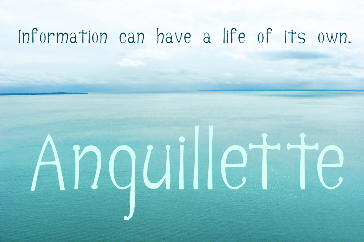 Anguillette