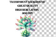 Watercolor Succulent Clipart, an Illustration by Designworld (Thumbnail 6 of 9)