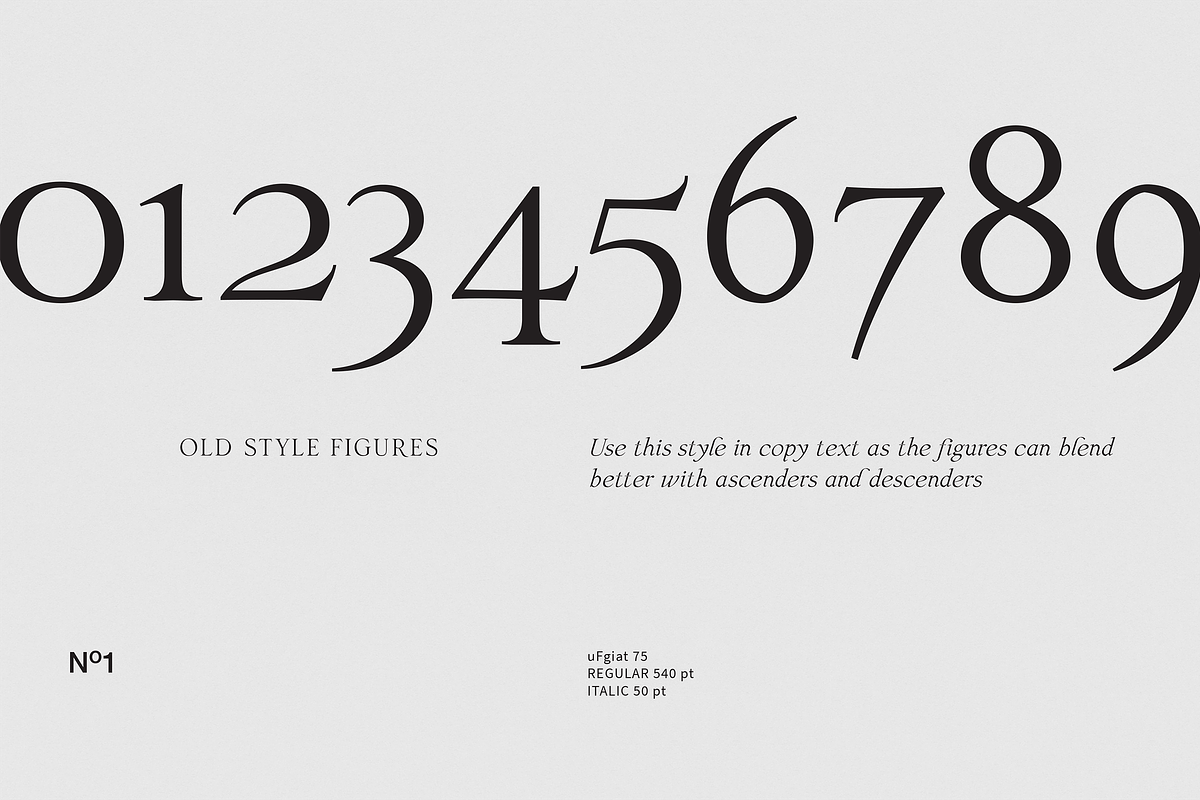 uFgiat75 Serif, a Serif Font by silukEight (Photo 8 of 9)