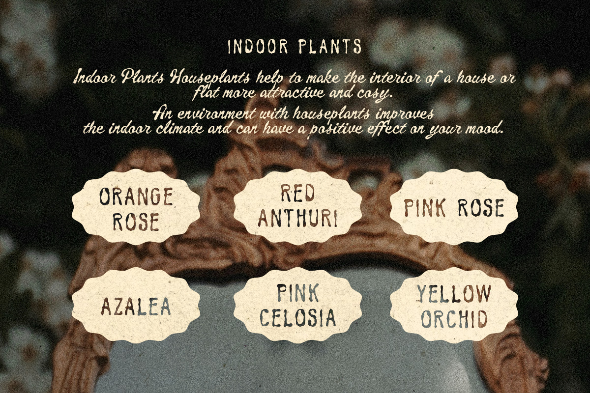 Wonder Finder Whimsical Font Duo, a Handwritten Font by Littlehand (Photo 9 of 10)