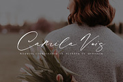 Macadamia | Handwritten Font, a Script Font by Calamar Studio (Thumbnail 4 of 19)