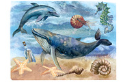 Watercolor nautical illustration, an Object Illustration by AkvarelRiver (Thumbnail 17 of 18)