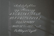 Delimis Script Font, a Script Font by JNJ Studio (Thumbnail 9 of 10)