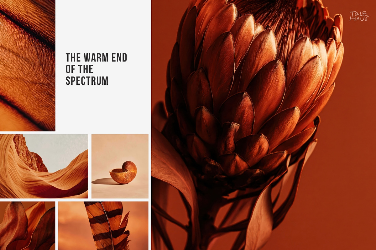 Warm Earth | 290 Earth Tone Photos, a Nature Photo by Tale.Haus (Photo 3 of 18)