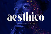 Font Bundles | Serif and Sans Serif, a Sans Serif Font by Heinzel Std (Thumbnail 2 of 9)