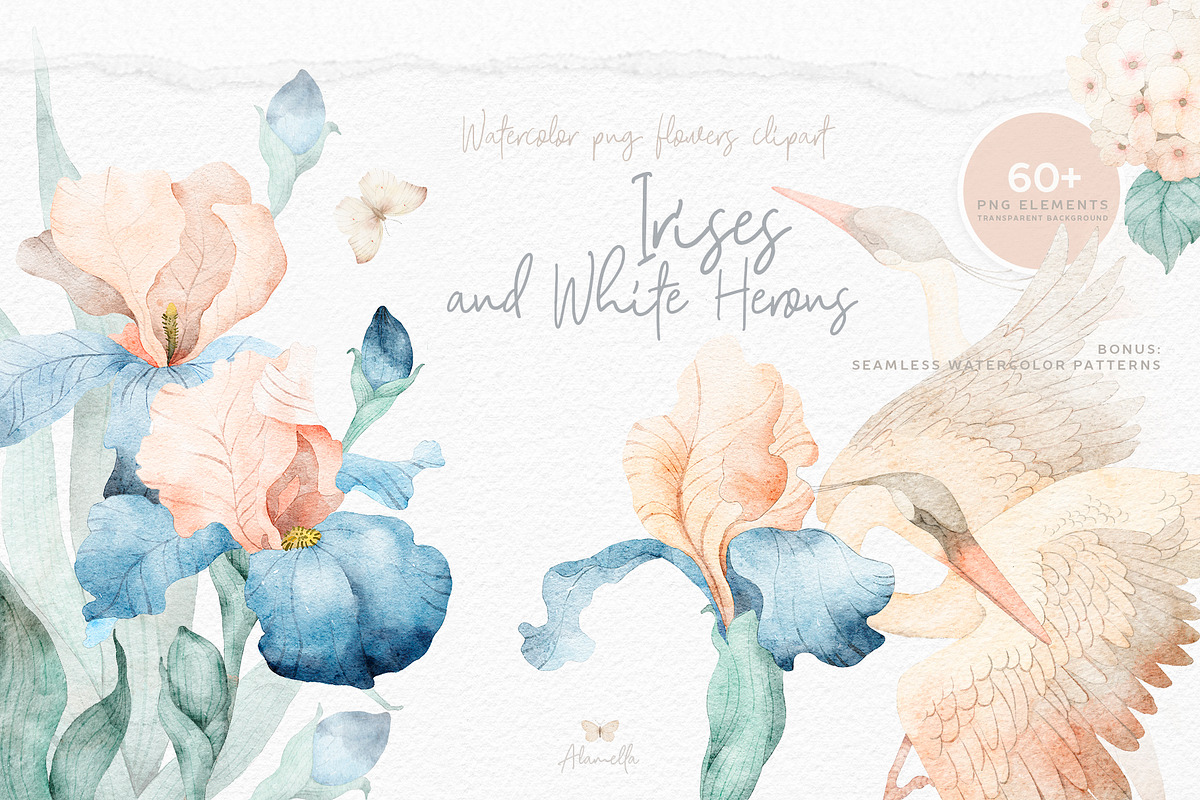 Watercolor Irises Flowers and Herons, an Illustration by Alamella (Photo 1 of 15)