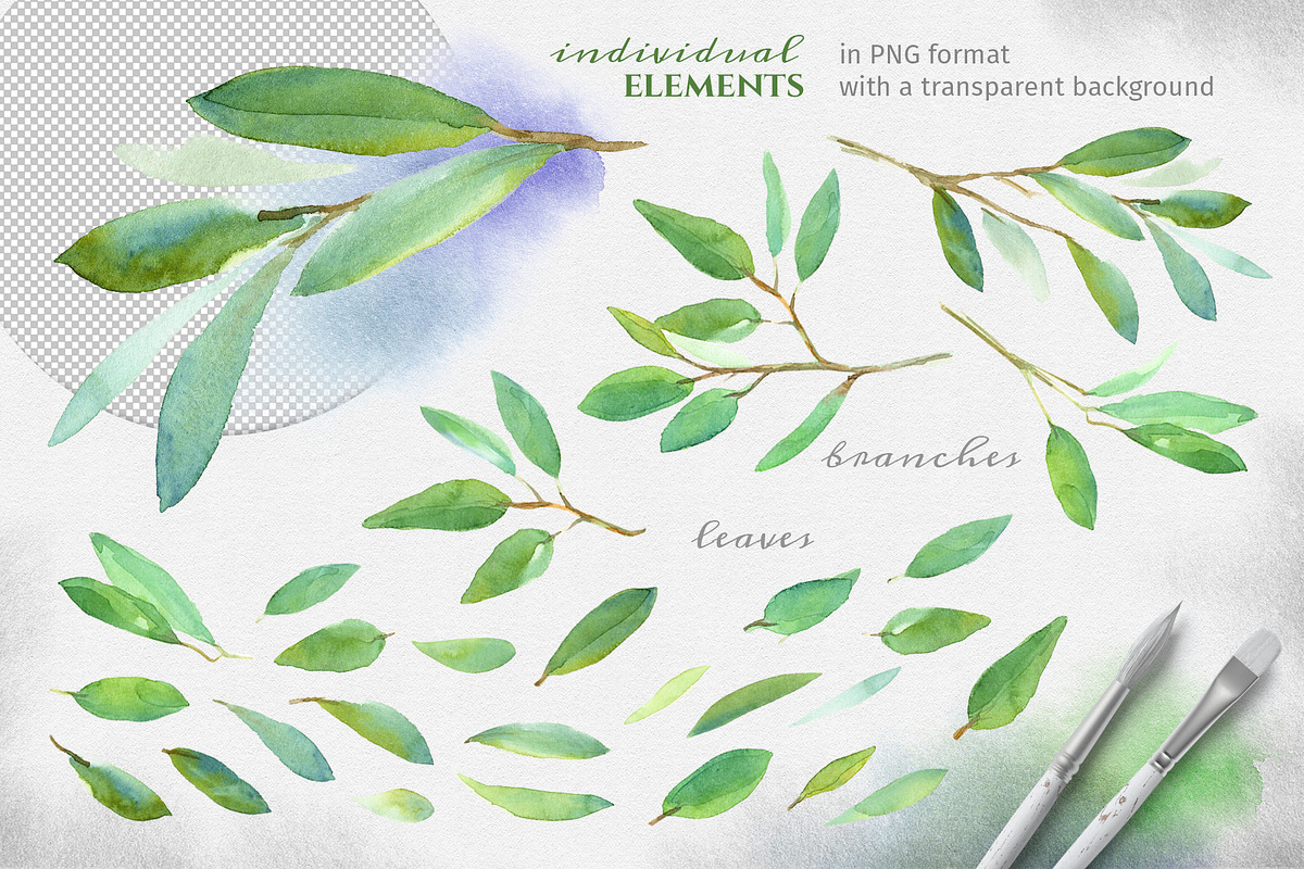 Green leaves. Graphic Set., a Decorative Illustration by LeiaSW (Photo 5 of 9)