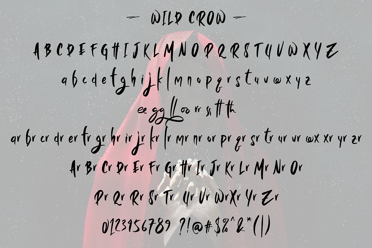 Wild Crow - Playful Handmade Font, a Script Font by Aldedesign (Photo 8 of 9)