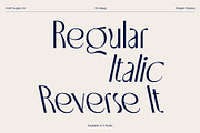 CS Akagi – Elegant Sans Serif, a Sans Serif Font by Craft Supply Co. (Thumbnail 4 of 8)
