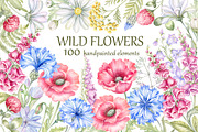 Wild flowers bundle, set Wildflowers, a Texture Illustration by MarinadeArt (Thumbnail 1 of 8)