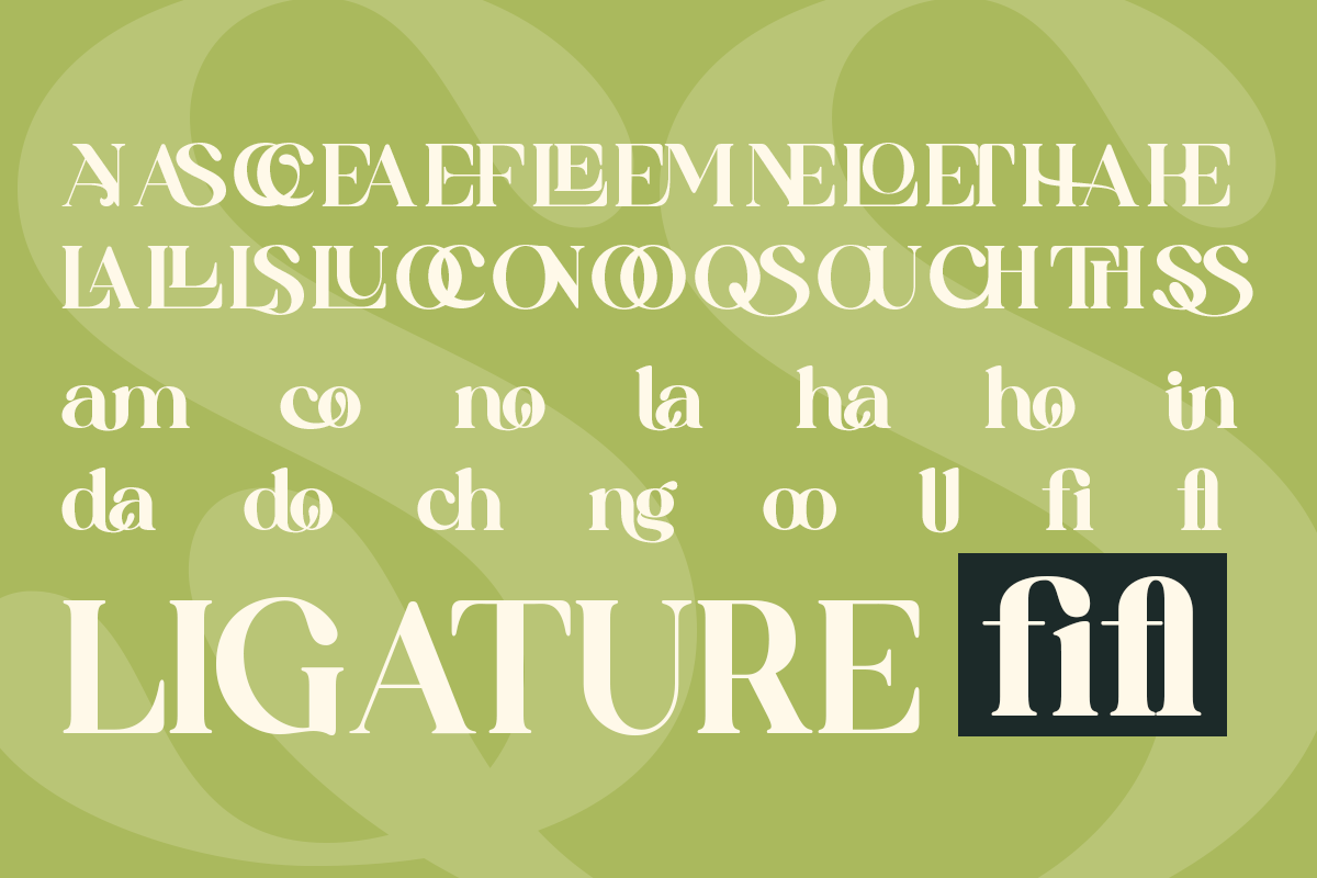Qoncila - Modern Retro Swash Serif, a Serif Font by Qweera Studio (Photo 9 of 12)