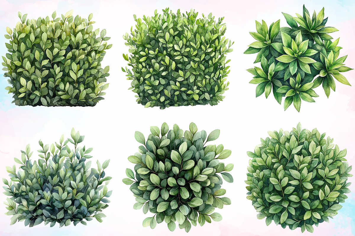 Watercolor Bushes Clipart Bundle, an Illustration by Canvas Craft (Photo 2 of 5)