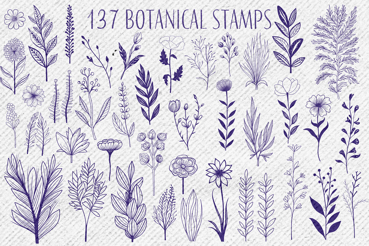 137 Botanical Stamps For Procreate, a Brush Add-On by Nuclear Brushes (Photo 9 of 10)