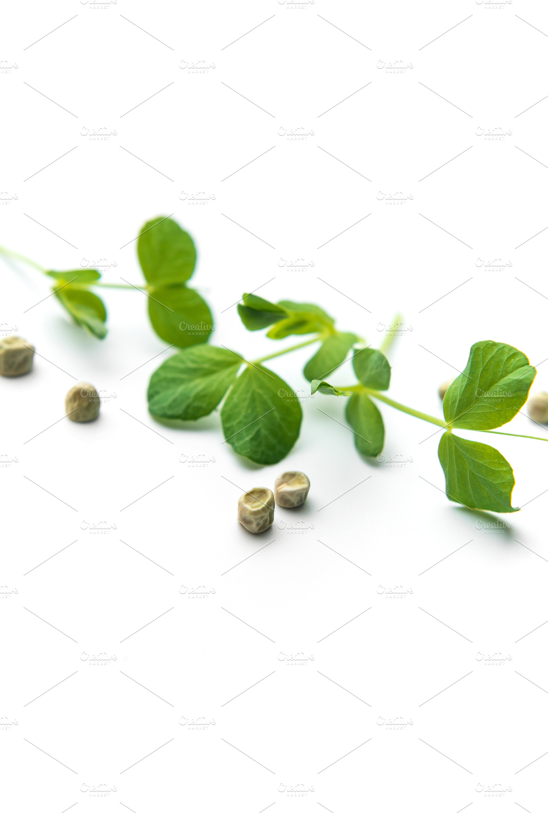 Pea microgreens stem and dried seeds on white background, a Food & Drink Photo by Olena Rudo