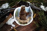 Aggressive bear, an Animal Illustration by Countryside life (Thumbnail 5 of 5)