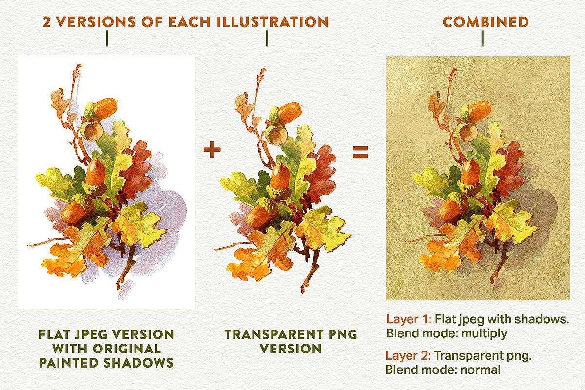 Fall Leaves and Berries, an Illustration by French Kiss Collections (Photo 3 of 7)