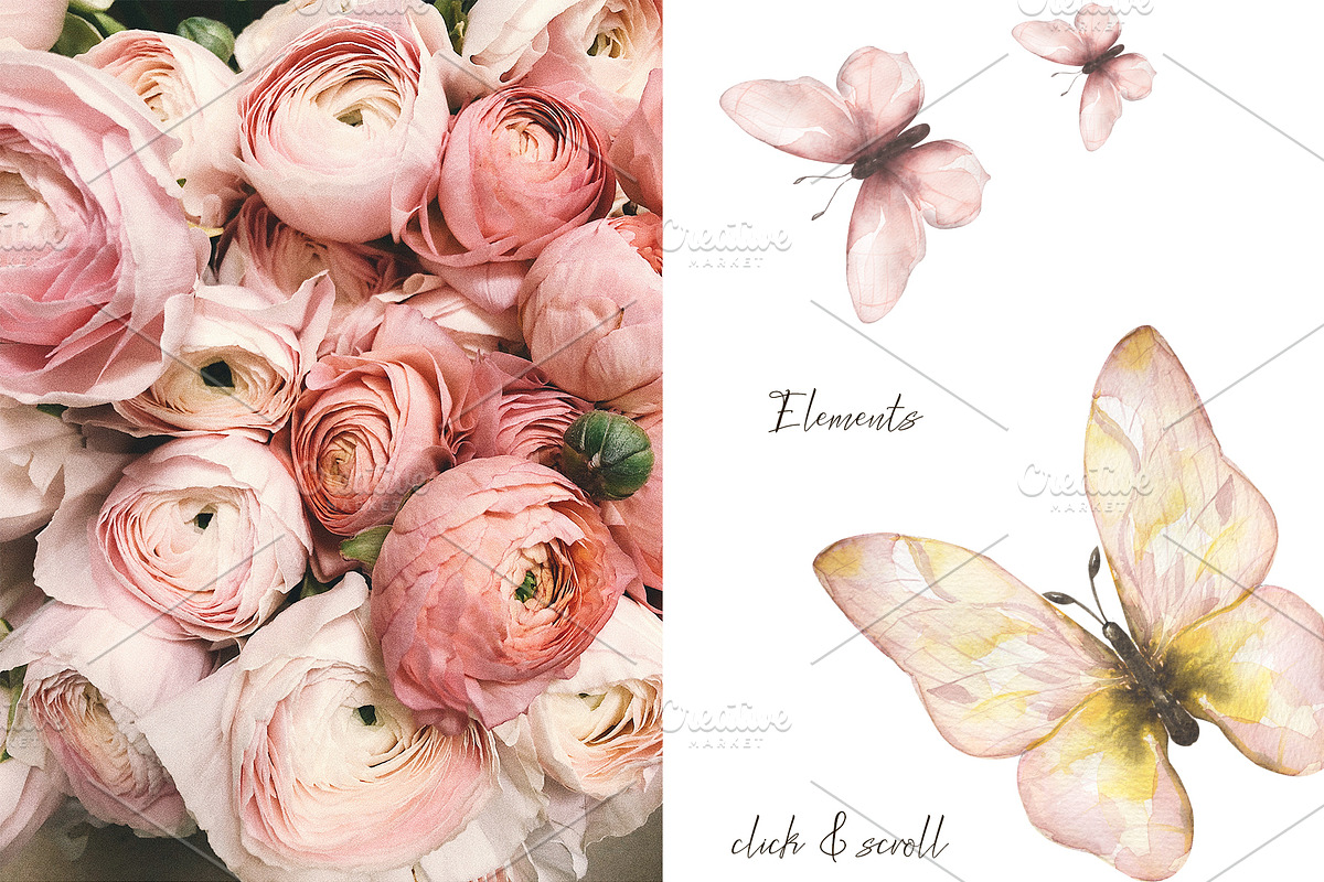 Watercolor Delicate Butterfly Set, a Decorative Illustration by MayaNavits (Photo 2 of 8)